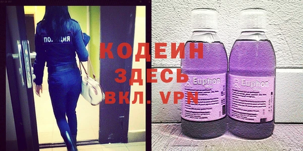 хмурый Алзамай