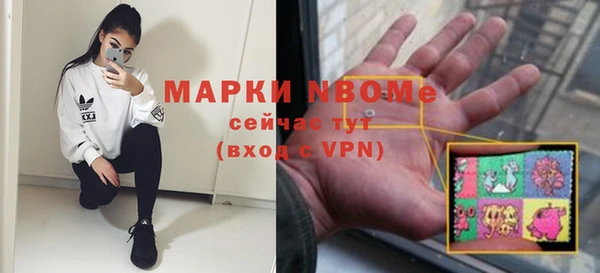 хмурый Алзамай
