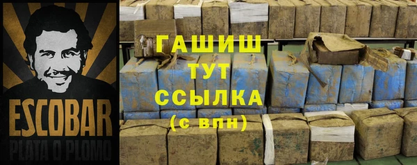 хмурый Алзамай